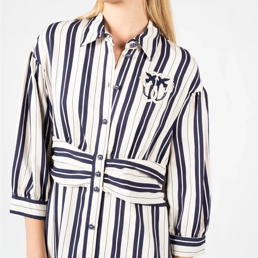 Pinko Chivasso Shirt Dress - Picture 3 of 14